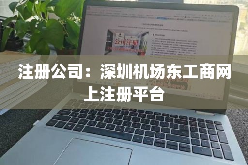 注册公司：深圳机场东工商网上注册平台