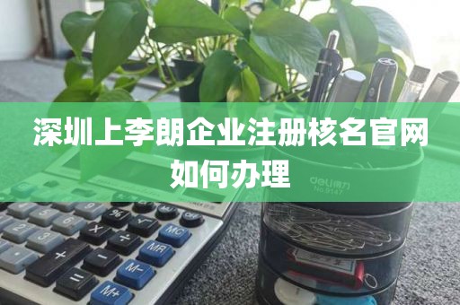 深圳上李朗企业注册核名官网如何办理