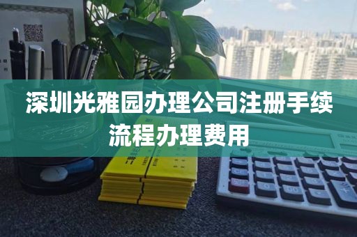 深圳光雅园办理公司注册手续流程办理费用