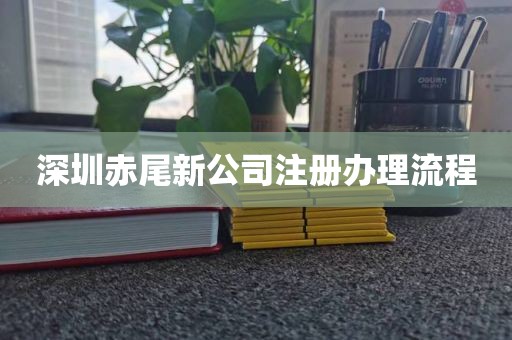 深圳赤尾新公司注册办理流程