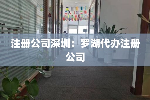 注册公司深圳：罗湖代办注册公司