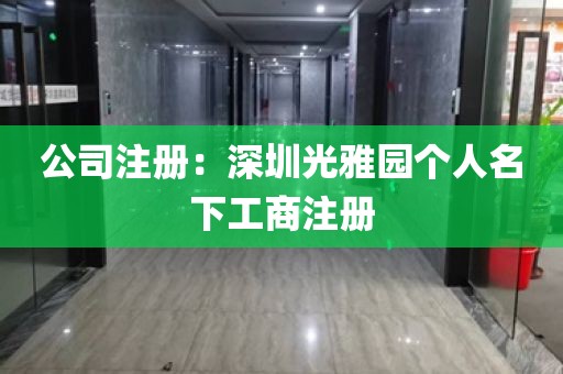公司注册：深圳光雅园个人名下工商注册