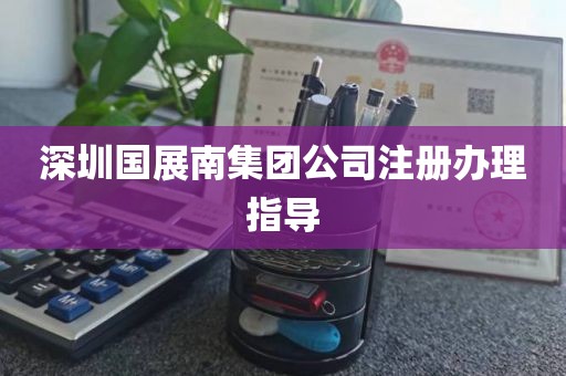 深圳国展南集团公司注册办理指导