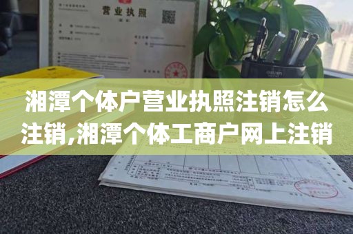湘潭个体户营业执照注销怎么注销,湘潭个体工商户网上注销