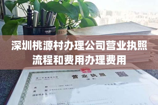 深圳桃源村办理公司营业执照流程和费用办理费用