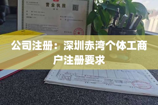 公司注册：深圳赤湾个体工商户注册要求