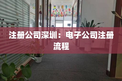 注册公司深圳：电子公司注册流程
