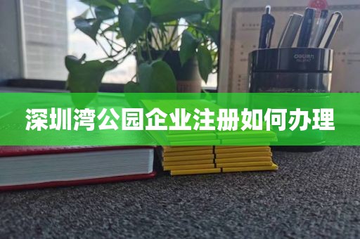 深圳湾公园企业注册如何办理