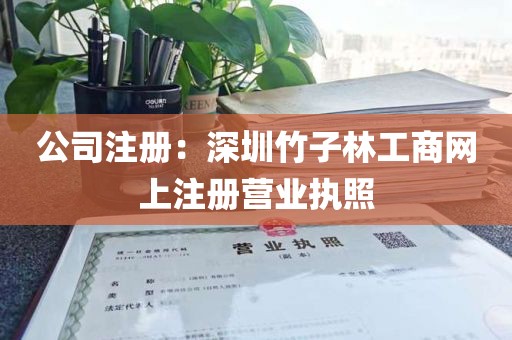 公司注册：深圳竹子林工商网上注册营业执照