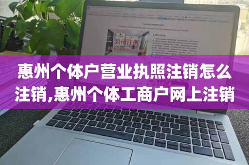 惠州个体户营业执照注销怎么注销,惠州个体工商户网上注销