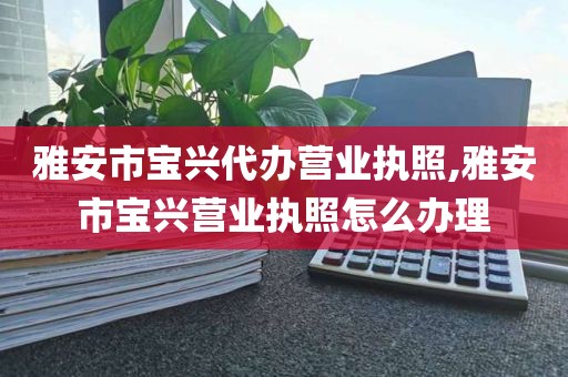 雅安市宝兴代办营业执照,雅安市宝兴营业执照怎么办理