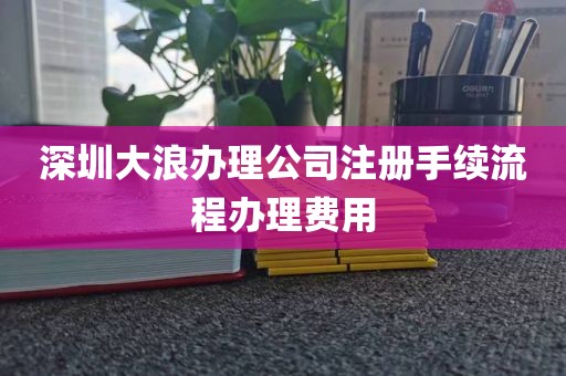 深圳大浪办理公司注册手续流程办理费用